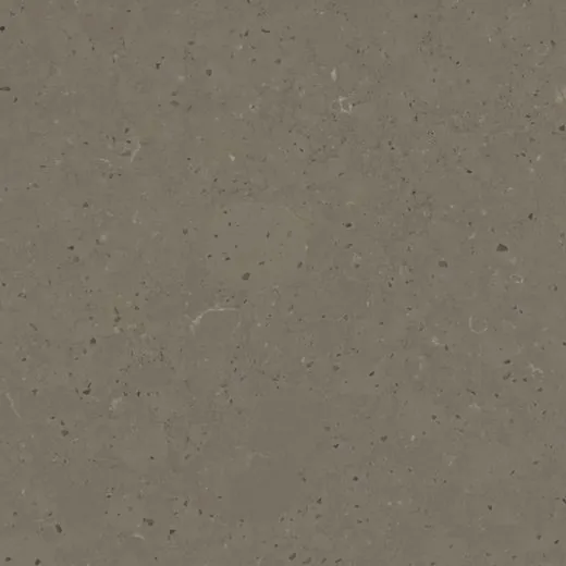 Brass Relish quartz countertop