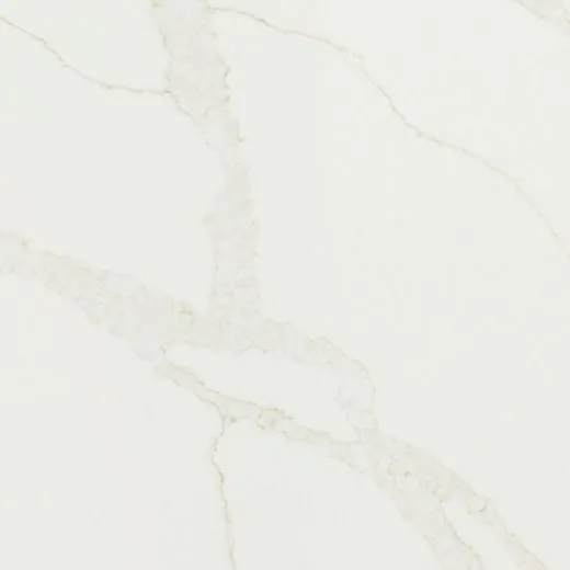 Calacatta Elysio quartz countertop