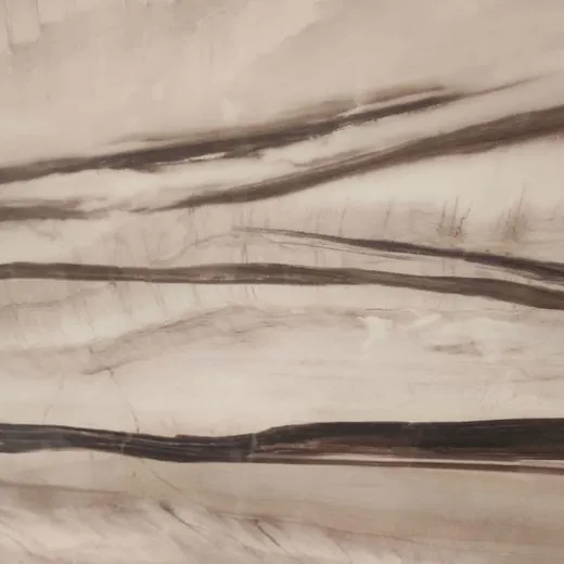 Calacatta Ghiandia quartz countertop