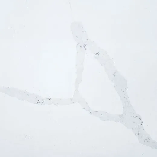 Calacatta Vion Le quartz countertop