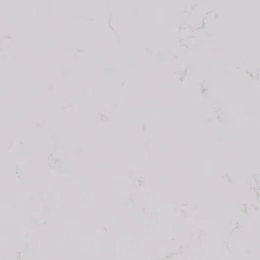 Carrara Roma quartz countertop