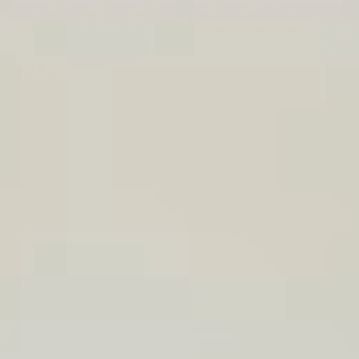 Faro White quartz countertop