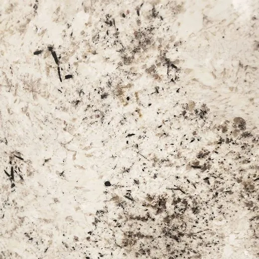 Galaxy White granite countertop