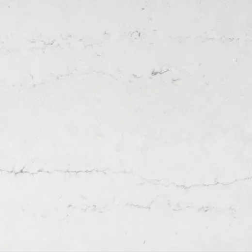 Raw A quartz countertop