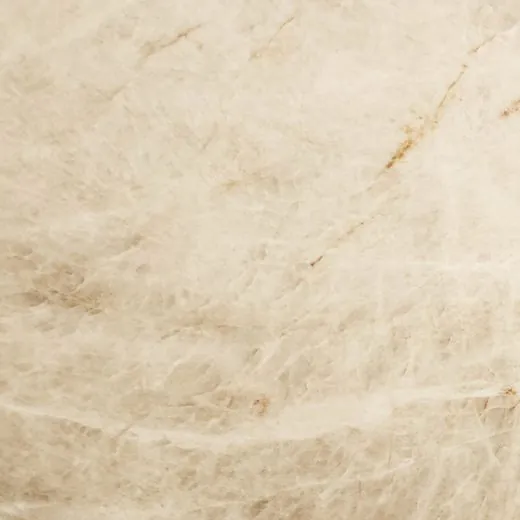Taj Mahal quartzite countertop