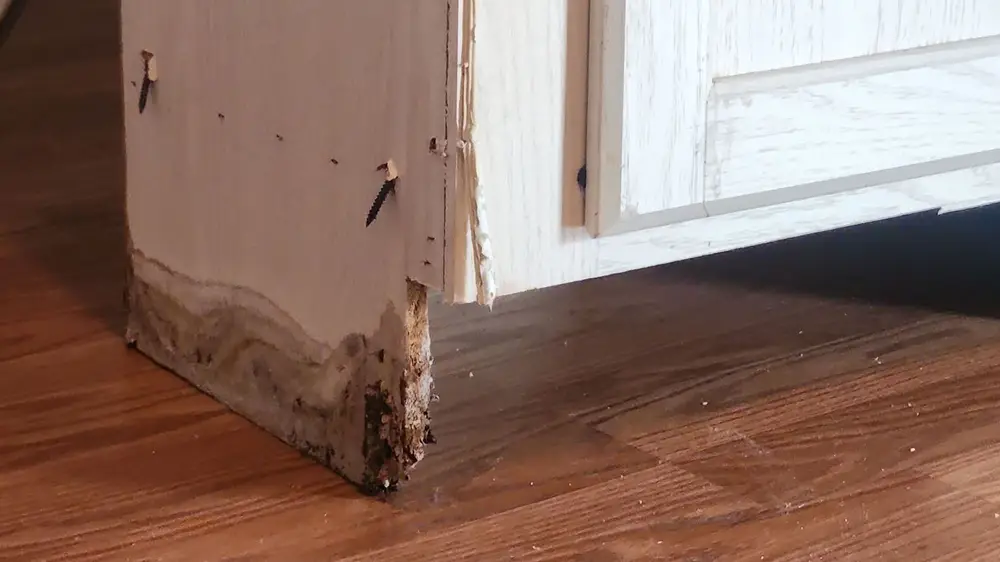 Water damaged cabinets